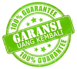Bergaransi